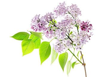 双人同屏欢乐对战游戏《The Limitless Boom》Steam页面上线 发售日待定